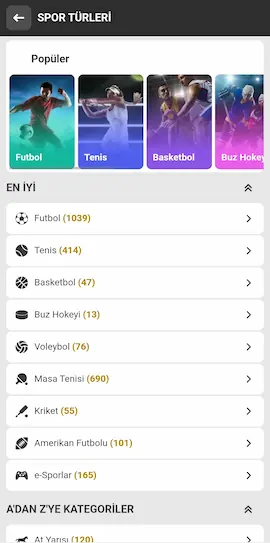 Melbet geniş spor dalları kataloğu ve sanal sporlar bahis seçenekleri
